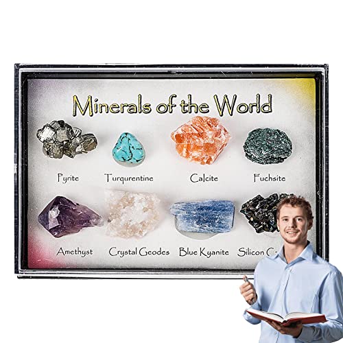 Pratvider Erzprobe - Mineral Rock Stone Collection Kit con hoja de nombre y vitrina - Juguetes educativos de la colección Rock Regalos para niños, niñas y niños