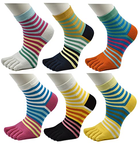 [WIOIW] 5{w\bNX ܖ{wC fB[X\bNX p\bNX X|[c JWA N[ 6Zbg