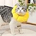 ouquckl Cat Collar, Neck Wound Recovery Collar InjuryHealing Antibiting Elizabethan Collar for Cat Dog Flower Collar GroomingSupplies