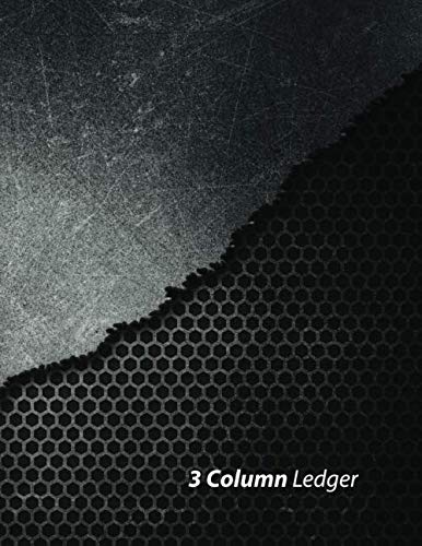 3 Column Ledger: Large Space 30 Row Easy Writing : Record Book Accounting Journal : Simple Cash Book, Expenses Financial Tracker, Notebook Bookkeeping ... 120 Pages, Blank Column Ledger, (Volume95)