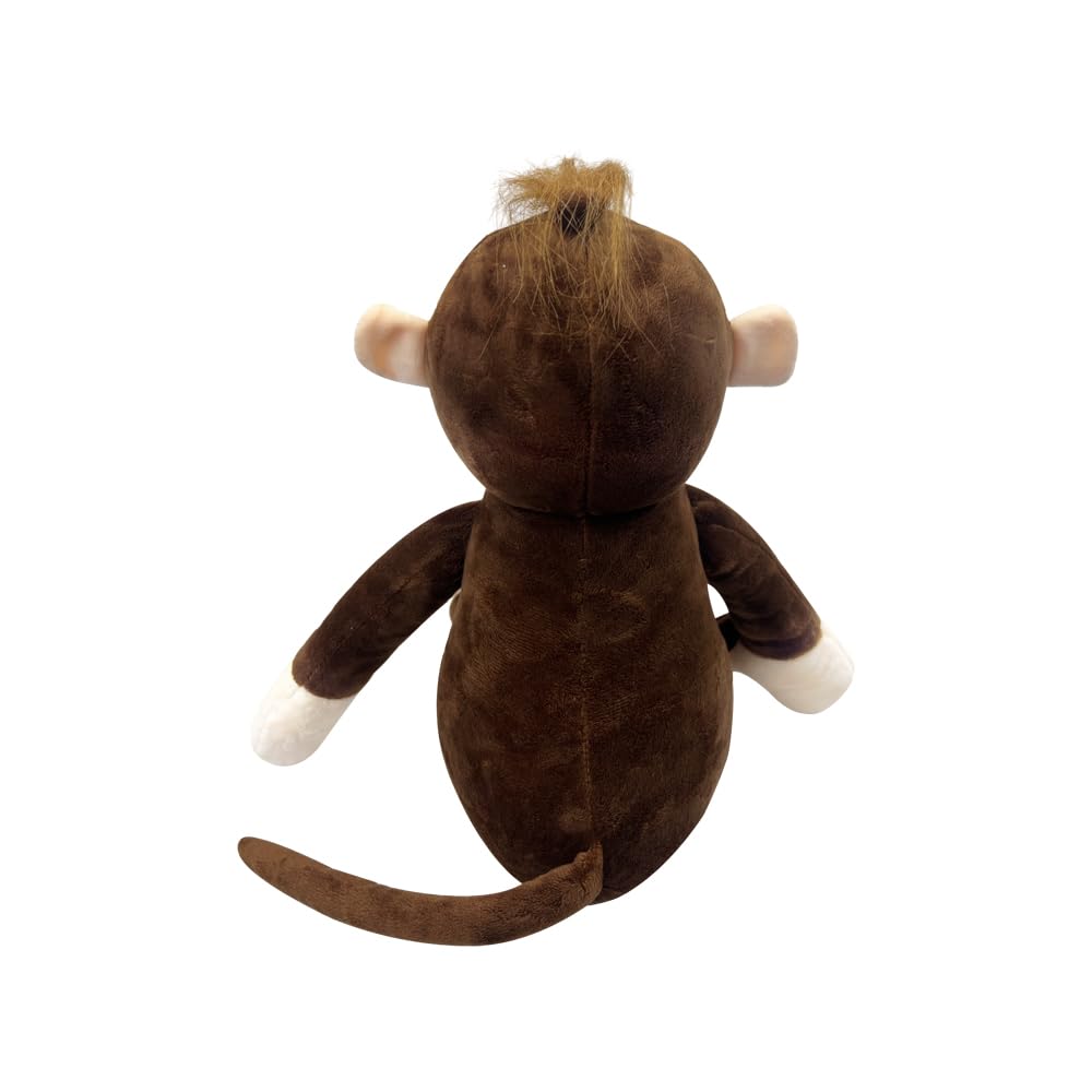 Muñeca de Peluche de Hada de Dientes, Peluche Dental de presentación de Salud bucal, marioneta de Mono, Hada Dental