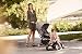 CYBEX Gold CYBEX Gold Silla de paseo Eezy S Twist, asiento giratorio...