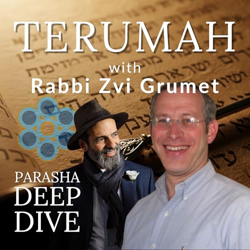 Why God Can&rsquo;t Be Perfect: Rabbi Tvi Grumet on the Mishkan & The Gift of Human Imperfection