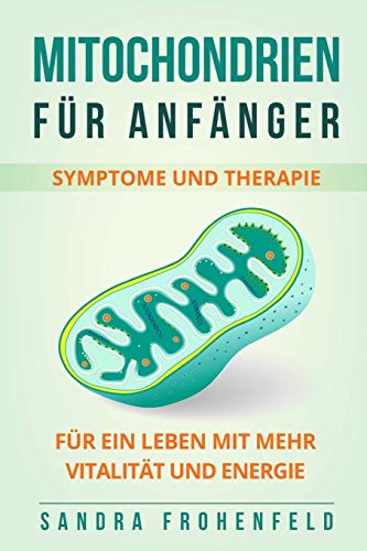 Mitochondrien für Anfänger: Symptome und Therapie