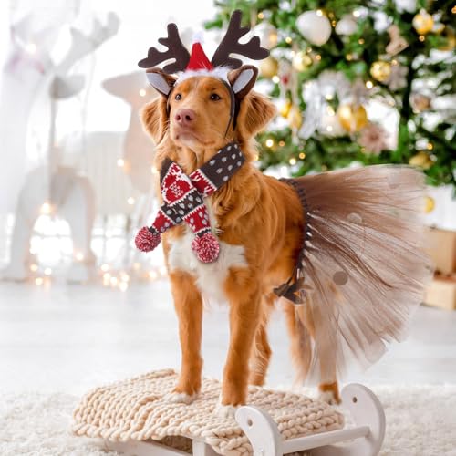 Set Disfraz Navidad Para Perros Medianos 3 Piezas miniatura 5