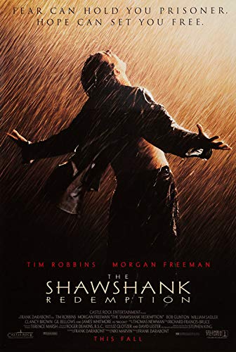 映画ポスター、映画ショーシャンクの空に(1994)-1The Shawshank Redemption (1994)-1 ポスター A3サイズ(42x30cm)、素晴らしい室内装飾品 映画ポスター、映画ショーシャンクの空に(1994)-1The Shawshank Redemption (1994)-1 ポスター A3サイズ(42x30cm)、素晴らしい室内装飾品