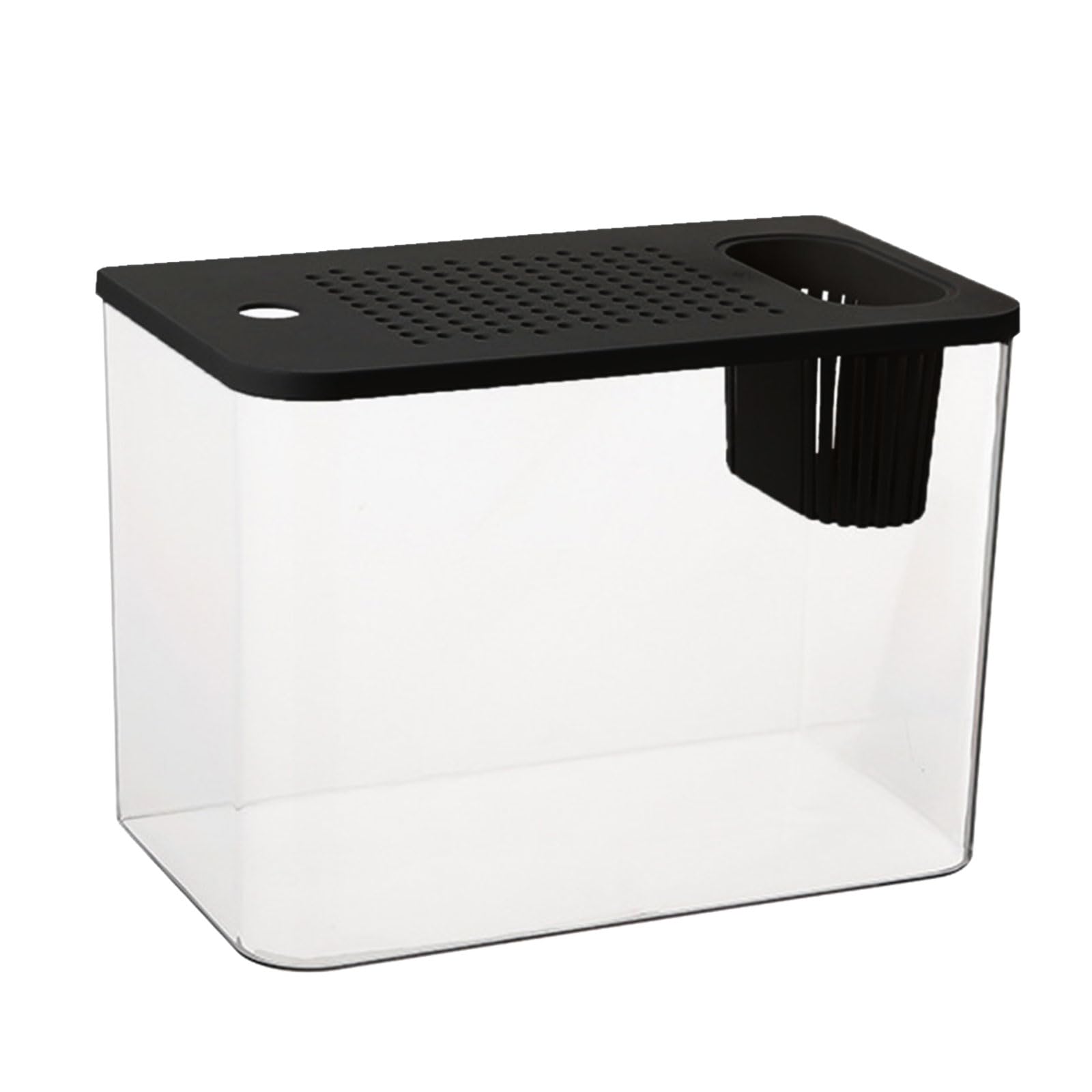 Aquarium avec couvercle sûr et support végétal, design épuré haute transparence