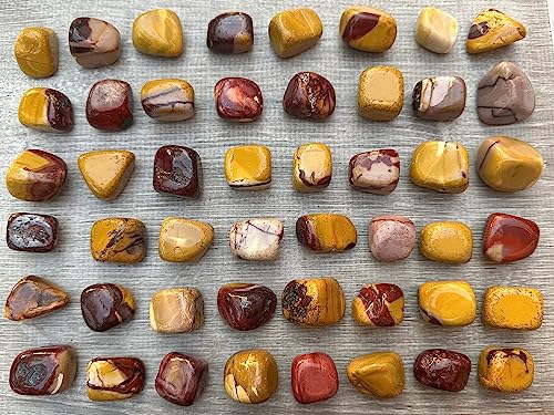 Image of GAF TREASURES 1 /2 LB Mookaite Tumbled Stones, Polished Mookaite Gemstone, Mookaite Healing Crystals (Mookaite)
