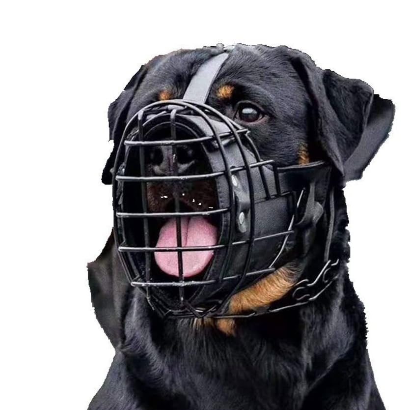 Bozal de perro ajustable de cuero de metal para pastor alemán, doberman, rottweiler y otros perros medianos y grandes, bueno para entrenamiento, servicio de policía y uso diario, evita mordeduras,