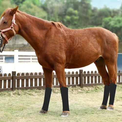 Bottes de protection contre les mouches pour chevaux avec sangles ajustables souples - 2