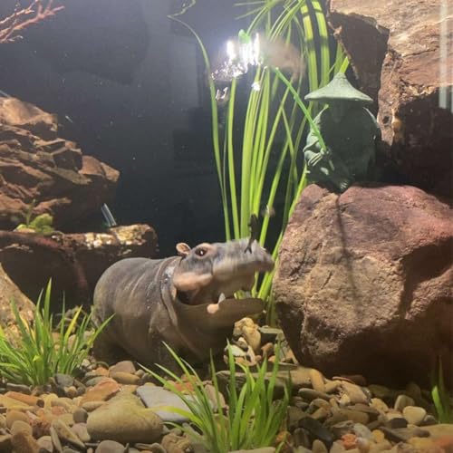 Image of Fish Tank Bubbler Decorations Aquarium Ornament Kit with Air Stone Pump - Hippo Aquarium Decor (10ft Tube)
