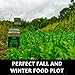 Domain Outdoor Comeback Kid Food Plot Seeds for Deer, Special Varieties of Clover & Alfalfa, Great to Plant in Spring, High Protein Forage, Year-Round Attraction, Lasts up to 5 Years, 4 Acre