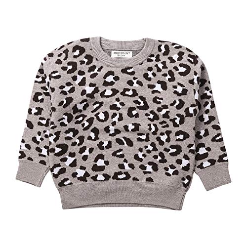 Kids Baby Girl Boy Leopard Knit Sweater Long Sleeve Crewneck Pullover Tops Cheetah Sweatshirt Fall Winter Warm Clothes (Gray, 4 Years)