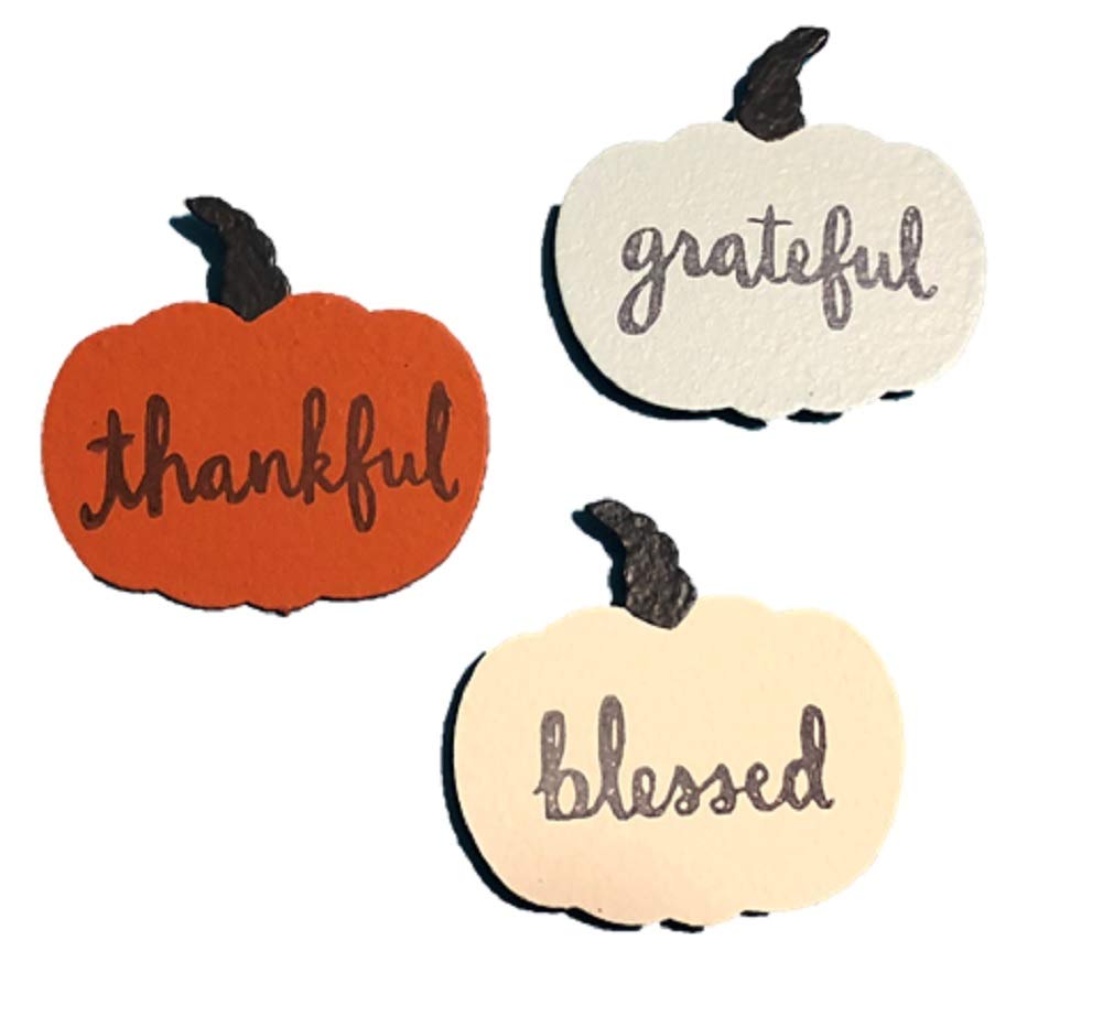 Roeda Brighten Your Life 13776M Word Pumpkins Set of 3 Magnets Made in USA