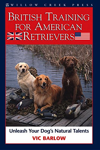 British Training for American Retrievers: Unleash Your Dog