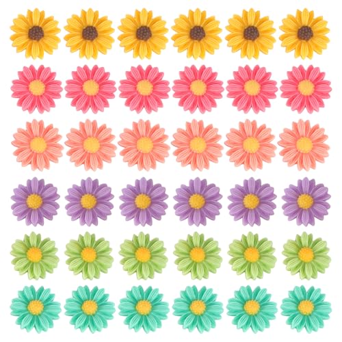 DECORNIJIA 36 fCW[wAs LLf gуP[X u[`p[c JWAɉfN₩J[ANZT[