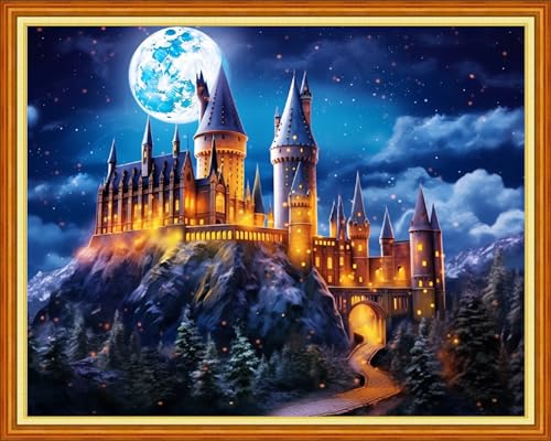 Image of Dimxvean Stamped Cross Stitch Kits,Cross Stitch Kits for Adults Beginners,Embroidery Kits Full Range of Cross Stitch Stamped Kits Needlepoint Kits Cross Stitch Patterns-Colorful Castle 16x20 inch
