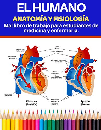 El humano Anatomía y fisiología Mal libro de trabajo para estudiantes de medicina y enfermería.: El humano Anatomía y fisiología Mal libro de trabajo para estudiantes de medicina y enfermería.: