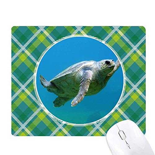 Cm̃J̊Cm ΂̊iq̃sNZS̃}EXpbh