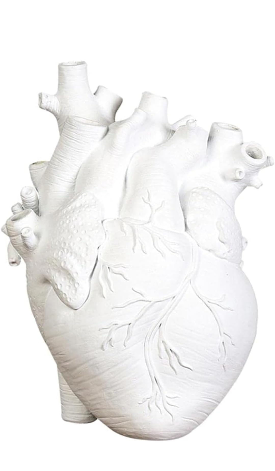 Anatomical Heart Vase Resin Decorative Planter | Modern Art Sculpture Flower Pot for Home & Office Décor | Minimalist White Tabletop Showpiece 14cm-picture-35