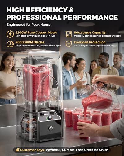 Commercial Blender For Smoothies