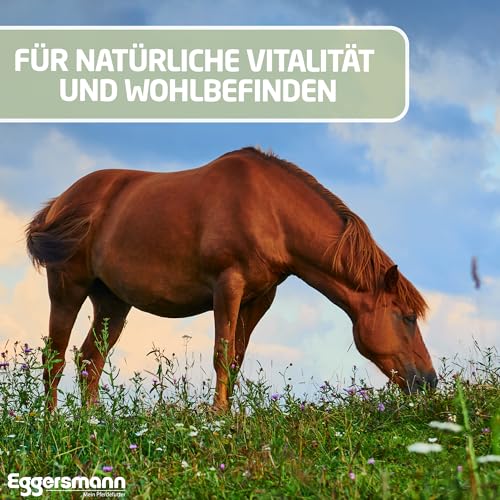 Eggersmann Mein Pferdefutter ReVital Cubes 25 kg – Getreidefreies Pferdefutter – Zur Unterstützung bei Stoffwechselproblemen – Stärke- & zuckerreduziertes Ergänzungsfuttermittel für Pferde & Ponys