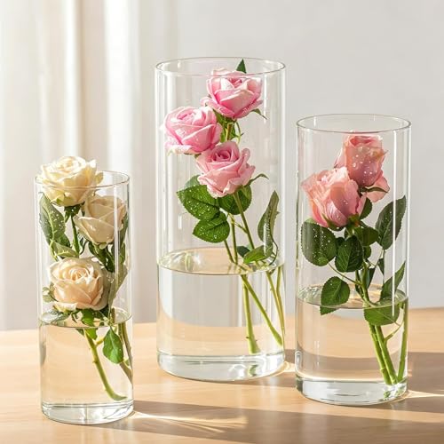 Glasseam Extra Large Cylinder Vases: Tall Glass Flower Vases for