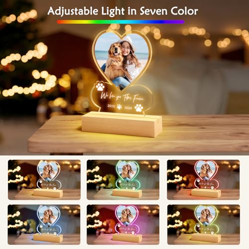 NIBESSER Personalisiert Gedenktafel für Haustiere Erinnerung LED Acrylglas mit Foto Hundandenken Geschenke Foto Nachtlampe Haustier Bilderrahmen für Katze und andere Haustiere Tiere