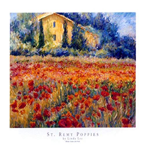 St. Remy Poppies by Linda Lee 22 X 28 Art Print Poster