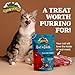 Wild Meadow Farms - Cat Treats - Meat 'N Greets - Soft Jerky Treats with Real Meat, High Protein, Grain-Free, Perfect for Training & Rewarding, All Natural Snacks for Cats - Lamb Flavor