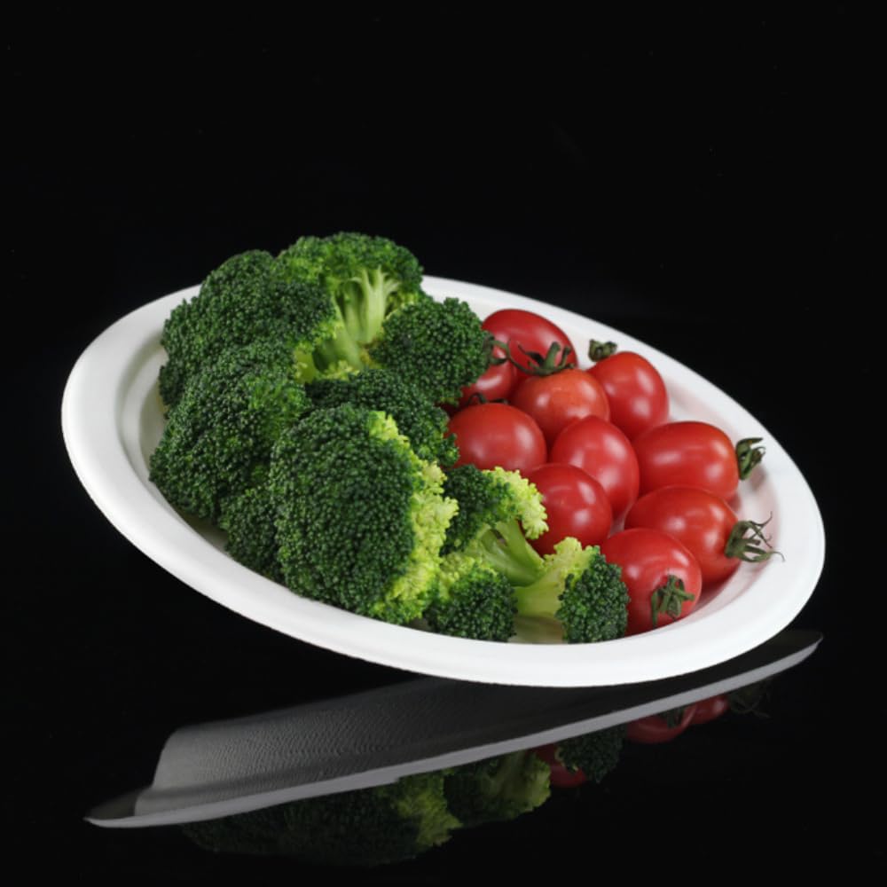Générique 500 Assiettes rondes blanches 23cm en bagasse pulpe de canne à sucre, plusieurs diamètres disponibles, plusieurs conditionnements, pour les particuliers et professionnels (500, 23 cm)