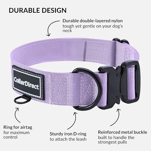 Robustes Hundehalsband für Große & Mittelgroße Hunde – Verstellbar, Doppellagiges Nylon, Metallschnalle, Reißfest & Ideal für Aktive Hunde (Flieder, Klein (28-38 cm))