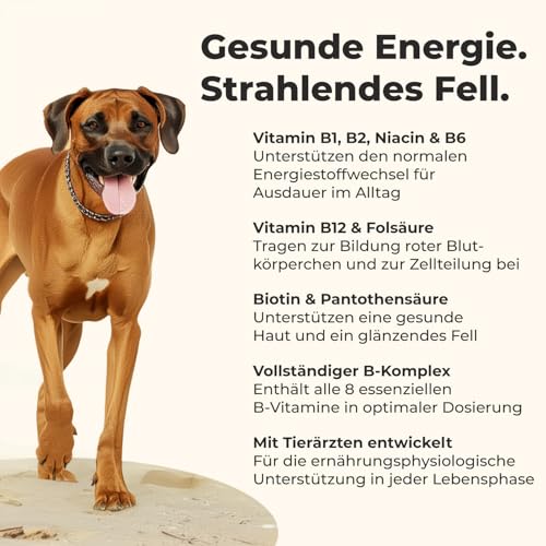 Vitamin B Komplex für Hunde - 120 Tabletten - Hochdosiert: Mit 8 B-Vitaminen (B1, B2, B3, B5, B6, B7, B9, B12) - Mit Tierärzten entwickelt, laborgeprüft & produziert in Deutschland