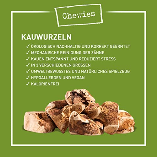 Chewies Kauwurzel für Hunde aus Baumheide Wurzel - 100 % natürliches Hunde-Spielzeug risikoarm & langlebig: Für Hunde bis 10 kg Körpergewicht, S (1er Pack)
