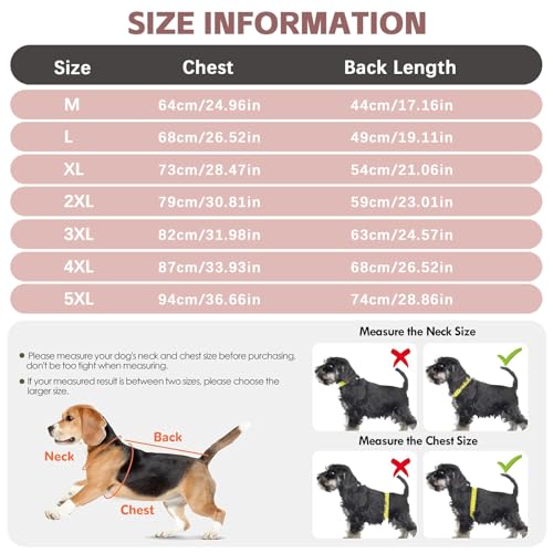 UOSIA Luxury Dog Tulle Dress - Cute Princess Lace Wedding Dress with Flower Bowknot Multi-Layer Princess Tutu Skirt for Large Dogs - Pink, 2XL by UOSIA - Image 4