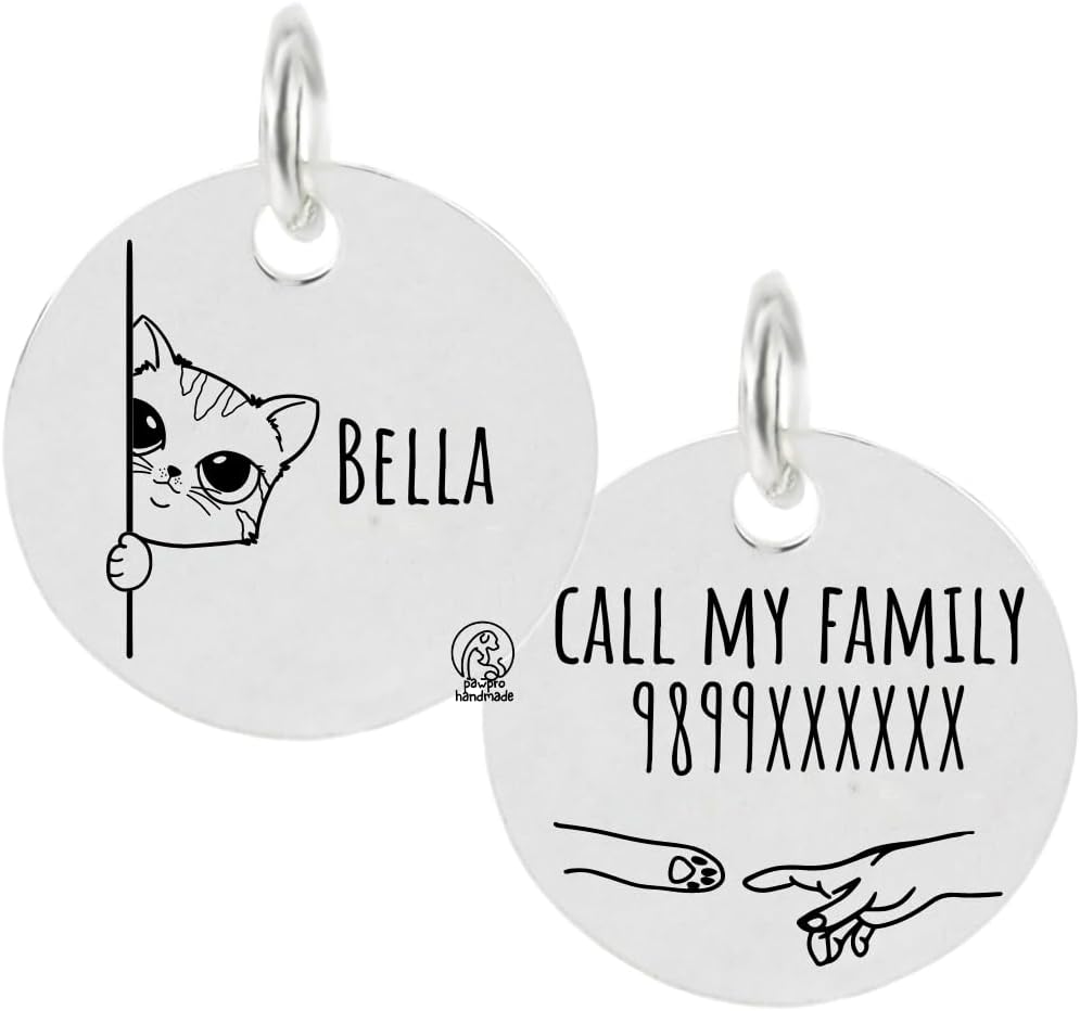 PAWPRO HANDMADE Personalized Engraved Cat Name Tag with Photo Customized Pet Id Cute Cat Tag Id for Cats, Cat, Customized (Silver Color), 1 Label