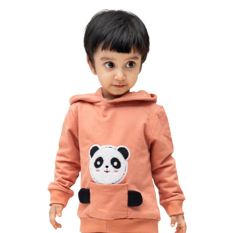 ARIEL Kids Cotton Fleece Full Sleeve Hoodie Sweatshirt for Boys and Girls (ORGPKTTED-ORA-06MTS) Peach - Image 5 thumbnail