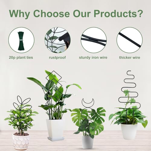 Image of 23in Plant Trellis for Climbing Plants Indoor, 4 Shapes