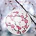 LYART 4Pcs Chinese Japanese Cherry Design Paper Lantern Lamp Shade for Restaurant Church Wedding Gift Party Favors DIY Decoration Oriental Style Light