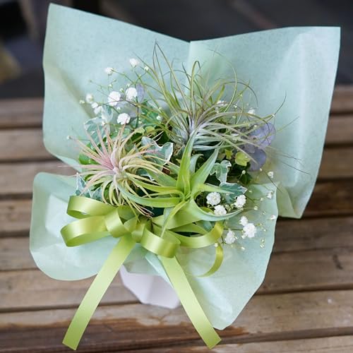 O[{̃t[AWg AWgt[ AWg Mtg   v[g a LO j JXj җ ̓ ybg  (O[)