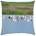 Pelícanos - Funda de cojín (18
