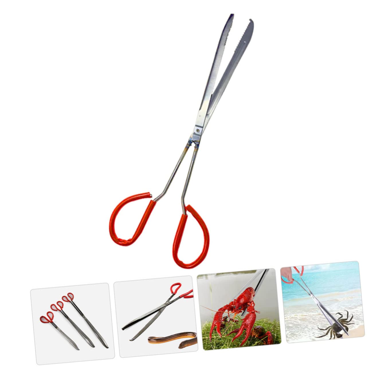 VANZACK Clip Di Pesce Di Mare Clip Di Granchio Strumenti All'Aperto Strumenti Per Grigliare Pinze Strumento Pinza Per Pinze Per Immondizia Pinze Per Pinza In Metallo Pinza