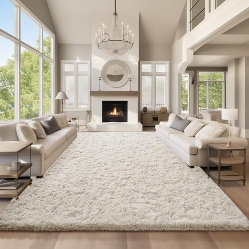 Ophanie Area Rugs 9x12 Living Room, Large Ivory Bedroom Carpet, B...