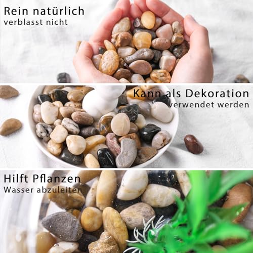 HAKACC 450g Flusskiesel，Kieselsteine Polierte zum Basteln Kleine Deko Steine für Vasen Pflanzen Garten Landschaftsbau Sukkulenten