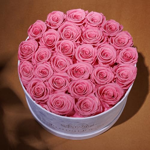 27 Flowers in a Luxury Suede Box, Birthday Gifts for Women, Preserved Flowers, Mothers Day Roses Gift for Mom, Light Pink