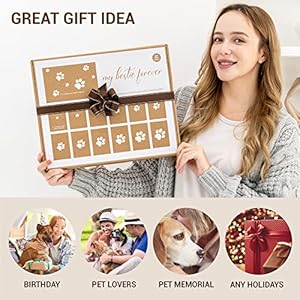 LOOKEY Acrylic Dog Picture Frame, Pet Keepsake Frame, Pet Memorial Gift for Loss of Dog, Dog Photo Collage Frame, Pet Lovers, Cats, Pet Loss Gifts, Puppy Frame LOOKEY Acrylic Dog Picture Frame Pet Keepsake Frame Pet Memorial Gift for Loss of Dog Dog Photo Collage Frame Pet Lovers Cats Pet Loss Gifts Puppy Frame