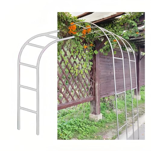 Metall Gartenbogen Hoch 240cm Rosenbogen Halb Rankgitter Pergola Edelstahl Wetterfestes Außenterrassengitter Garten Torbogen Dekorative(100 * 240cm(3.2 * 7.8ft)) Metall Gartenbogen Hoch 240cm Rosenbogen Halb Rankgitter Pergola Edelstahl Wetterfestes Außenterrassengitter Garten Torbogen Dekorative(100 * 240cm(3.2 * 7.8ft))