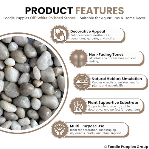 Image of Foodie Puppies 1Kg Off-White Polished Decorative Stones - (2.5cm - 4cm) Dull Finish Pebbles for Aquarium, Fish Bowl, Turtle Tank, Terrarium, Succulents, Garden Pot, Bamboo Plant & Home Decor Stones