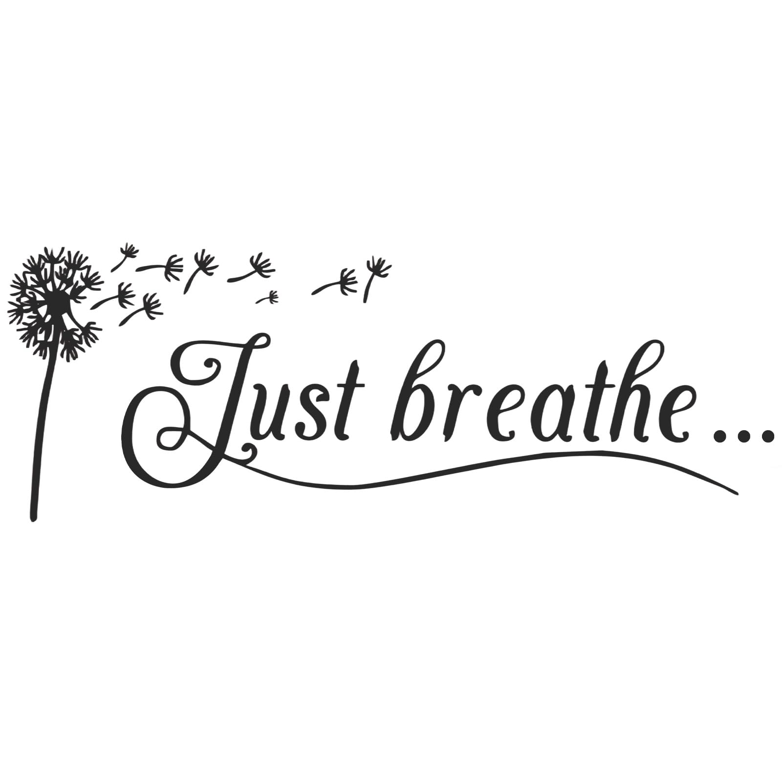BLMHYWO Inspirational Wall Decals Vinyl Waterproof Positive Words and Quotes Wall Decor Peel and Stick Art Decor for Living Room Bedroom Study Room