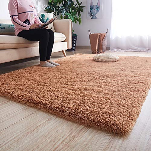 Tapis à poils longs doux pour réchauffer un sol de salon froid